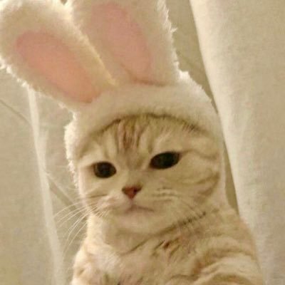 crea__n__n's profile picture