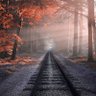 Фото профиля WNYConservative