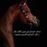 Фото профиля محمد