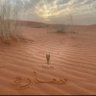 Profilbild von ســـــــــاره