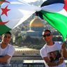 توفيق بن سعيد 的头像