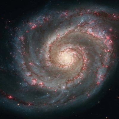 Anisocyte's profile picture