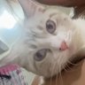 Whoppiieeessssss profil fotoğrafı