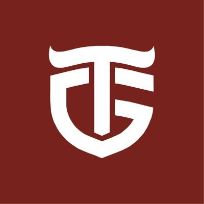 ToroGoal's profile picture