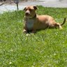 Фото профиля Robert