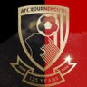 AFC Bournemouth News 的头像