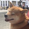 ぷっちゃん's profile picture