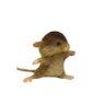 $Muzki all day's profile picture