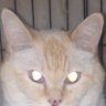 Profilbild von 皮太郎