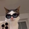 Pdrø profil fotoğrafı