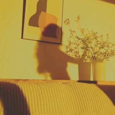 레몬 🍋's profile picture