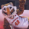 Фото профиля BIG P, THE TIGER 🐅