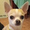 Billbob's profile picture