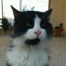 captain profil fotoğrafı