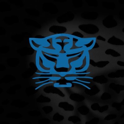 PanthersNball's profile picture