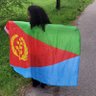 Samuel Tku'e🇪🇷's profile picture
