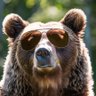 Herr 🐻 的头像