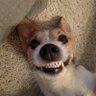 Flossy's profile picture