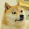 Lomda Doge profil fotoğrafı