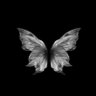 ◡̈'s profile picture