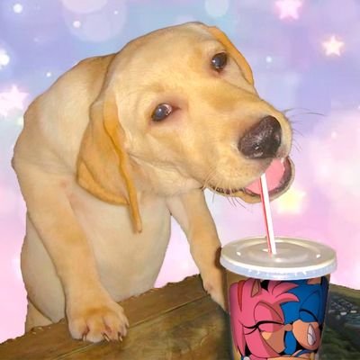 RinkaVS's profile picture