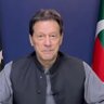 Shehryar Mohsin's profile picture