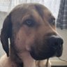 Profilbild von DjPara96