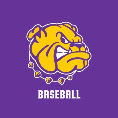 WIUBaseball's profile picture