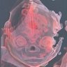 kekoubuke's profile picture