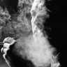 Arda Öz profil fotoğrafı