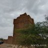 سلالة E-M35 اليمن 的头像