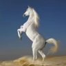 Athari Al Ali profil fotoğrafı