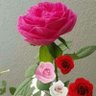 Muzamil Khpalwak's profile picture