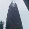 王 的头像