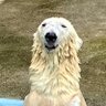 るこっと profil fotoğrafı