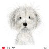 Razz02748 🇺🇸 profil fotoğrafı