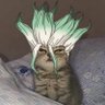 Ny*****'s profile picture