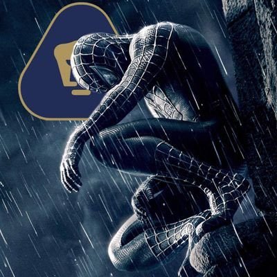 SMICHO15's profile picture