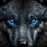 Фото профиля wolfmanw2205