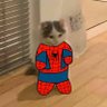 Dani Myers's profile picture