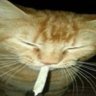 buddy ★'s profile picture