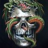 Pedro Arance's profile picture