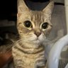alan profil fotoğrafı