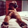 Fakin1 profil fotoğrafı