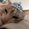 クズさんです(？) 的头像