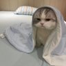 Фото профиля 生活の質向上マン
