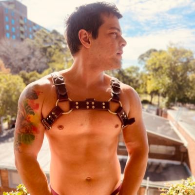 aksendaves's profile picture