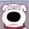 𝘽𝘼𝙍𝘾𝙊𝘿𝙀's profile picture