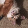 Terri profil fotoğrafı