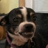 Winky's profile picture